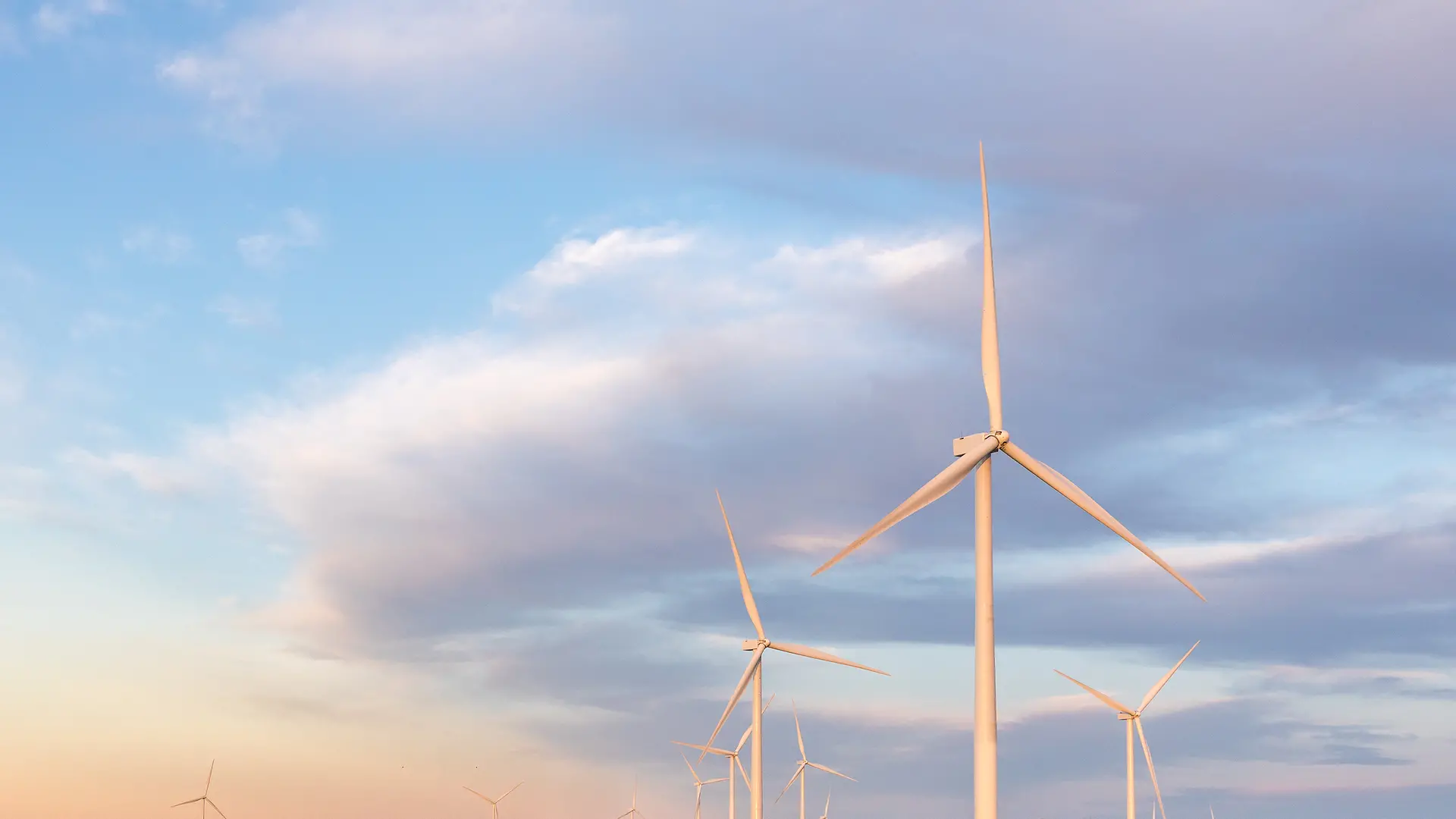 The new wind farm in Bee County, Texas, USA