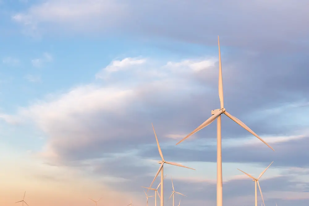 The new wind farm in Bee County, Texas, USA